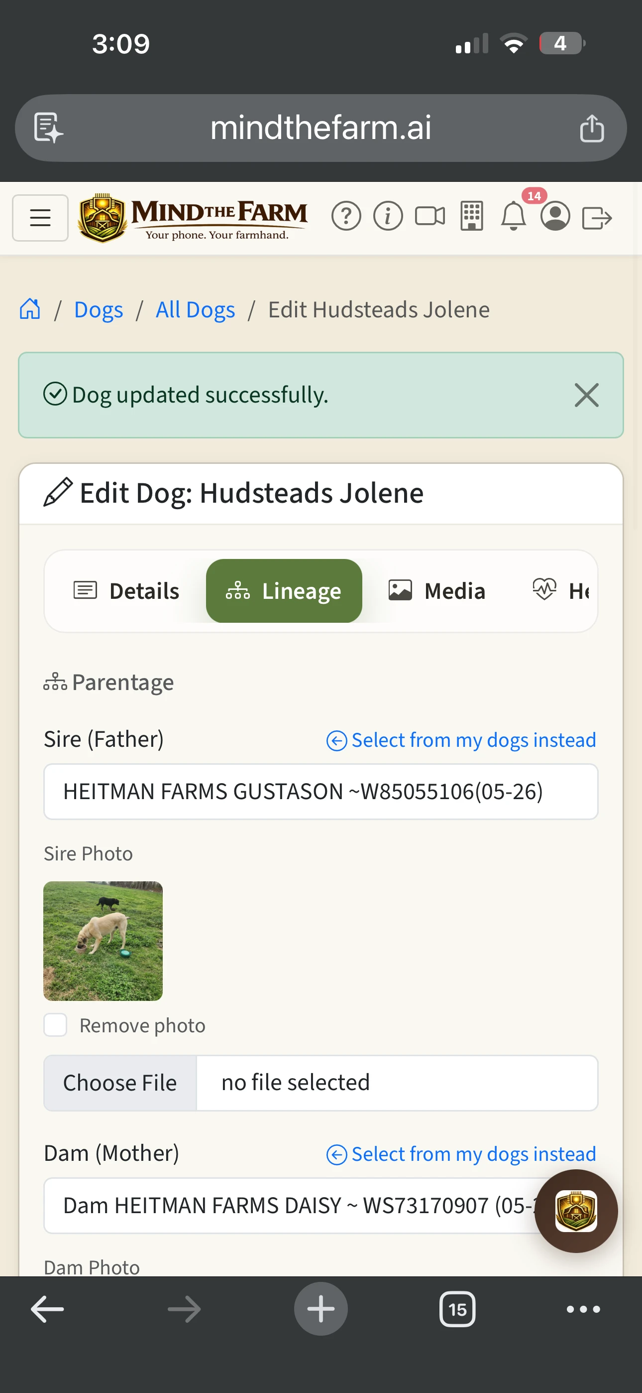 Multi-generation pedigree chart showing sire and dam lineage