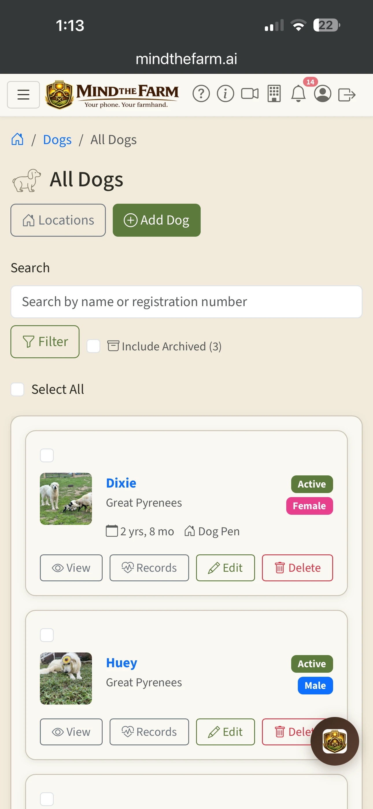Animal listing page showing dog cards with photos, status badges, breed, and age